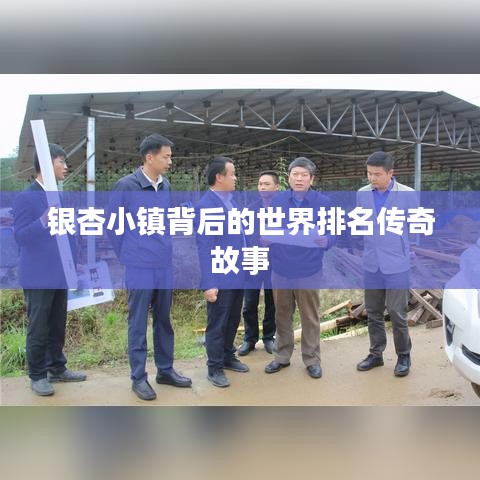 银杏小镇背后的世界排名传奇故事