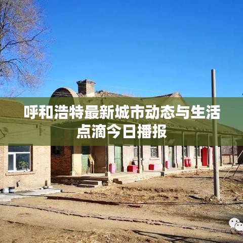 呼和浩特最新城市动态与生活点滴今日播报