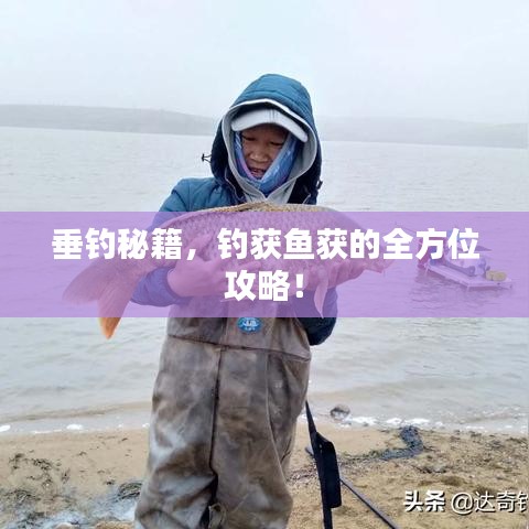 垂钓秘籍，钓获鱼获的全方位攻略！