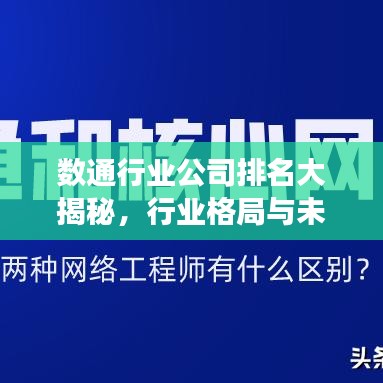 数通行业公司排名大揭秘，行业格局与未来趋势深度洞察