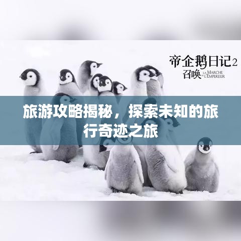 旅游攻略揭秘，探索未知的旅行奇迹之旅