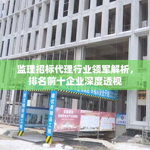 监理招标代理行业领军解析，排名前十企业深度透视