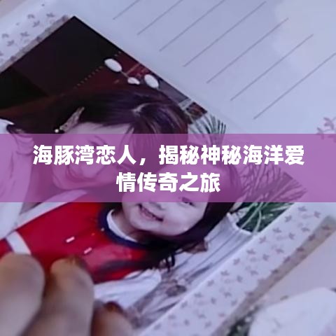 海豚湾恋人，揭秘神秘海洋爱情传奇之旅