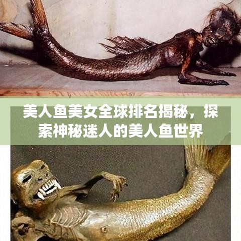 美人鱼美女全球排名揭秘，探索神秘迷人的美人鱼世界