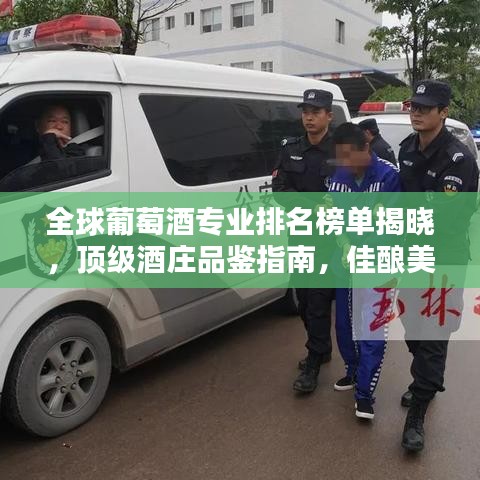 全球葡萄酒专业排名榜单揭晓，顶级酒庄品鉴指南，佳酿美酒一网打尽！