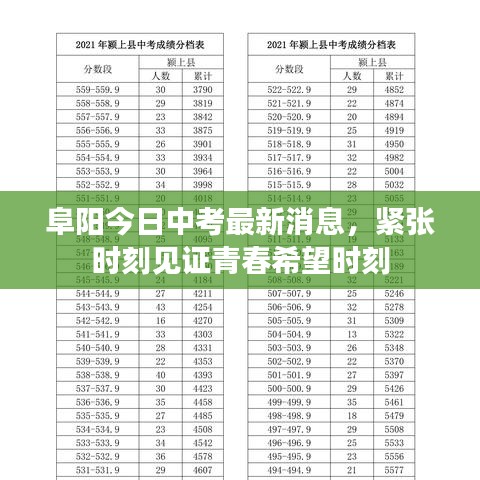 阜阳今日中考最新消息，紧张时刻见证青春希望时刻