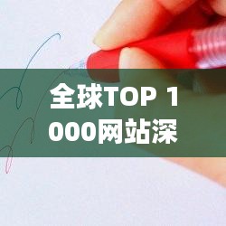 全球TOP 1000网站深度洞察与探索，揭秘排名背后的秘密