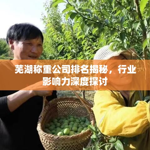 芜湖称重公司排名揭秘，行业影响力深度探讨