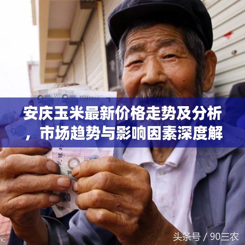 安庆玉米最新价格走势及分析，市场趋势与影响因素深度解读