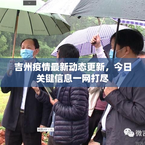 吉州疫情最新动态更新，今日关键信息一网打尽