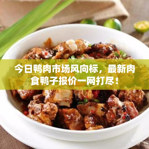 今日鸭肉市场风向标，最新肉食鸭子报价一网打尽！