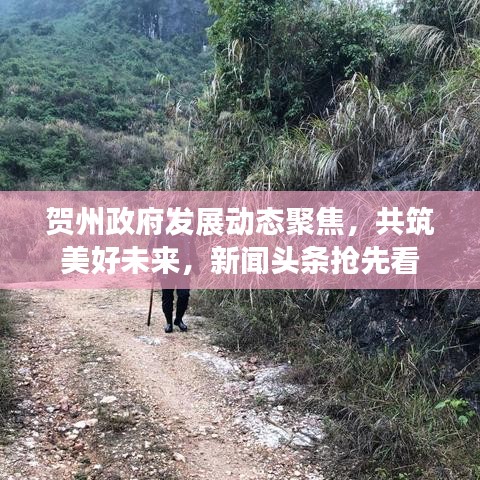 贺州政府发展动态聚焦，共筑美好未来，新闻头条抢先看