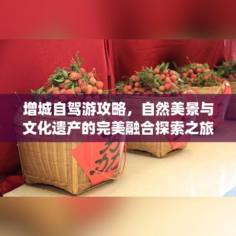 增城自驾游攻略，自然美景与文化遗产的完美融合探索之旅
