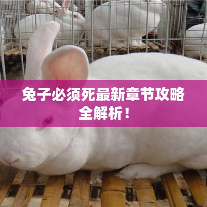 兔子必须死最新章节攻略全解析！