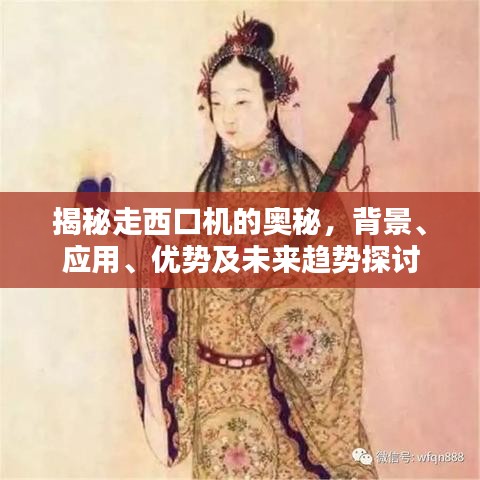 揭秘走西口机的奥秘，背景、应用、优势及未来趋势探讨