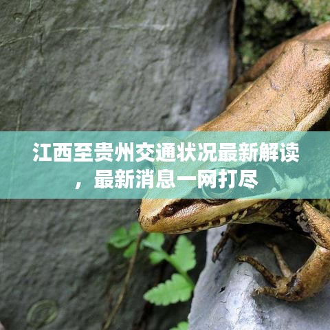 江西至贵州交通状况最新解读，最新消息一网打尽