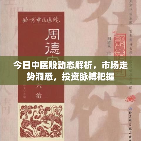 今日中医股动态解析，市场走势洞悉，投资脉搏把握