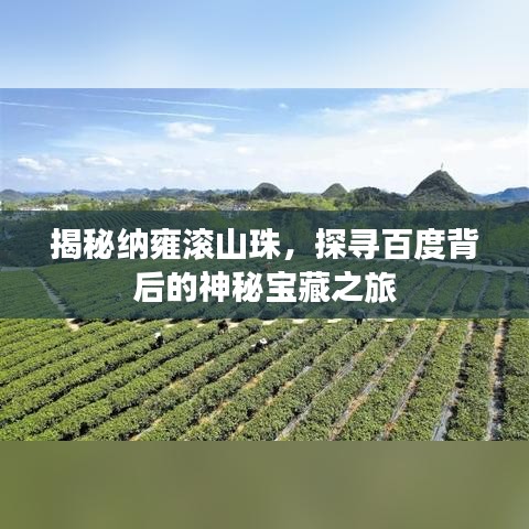 揭秘纳雍滚山珠，探寻百度背后的神秘宝藏之旅
