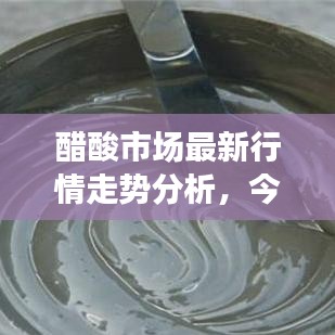 醋酸市场最新行情走势分析，今日行情及市场预测