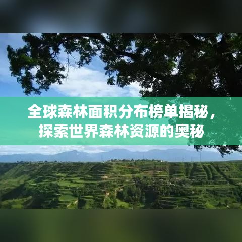 全球森林面积分布榜单揭秘，探索世界森林资源的奥秘