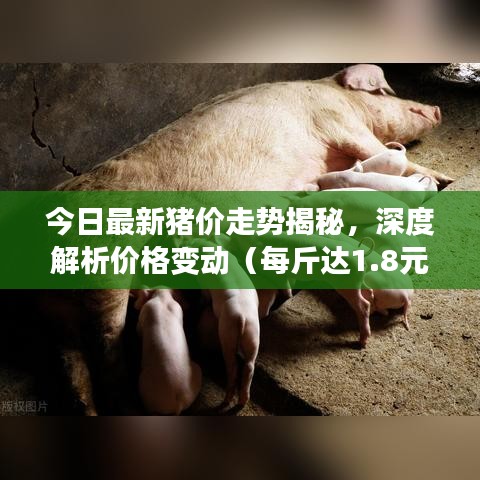今日最新猪价走势揭秘，深度解析价格变动（每斤达1.8元）