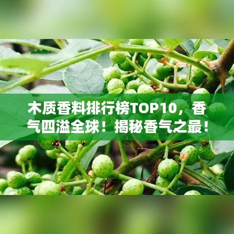 木质香料排行榜TOP10，香气四溢全球！揭秘香气之最！