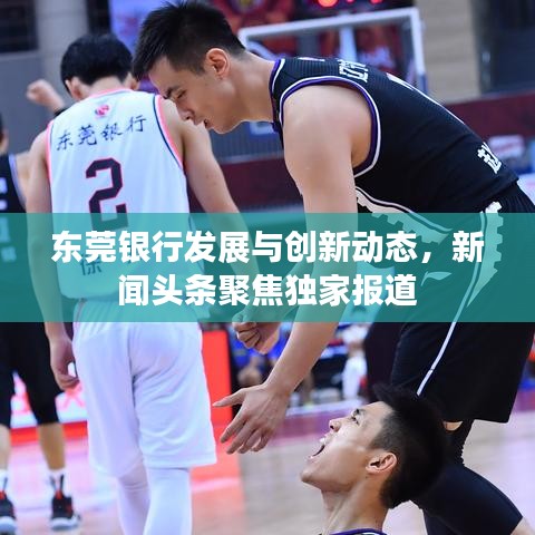 东莞银行发展与创新动态，新闻头条聚焦独家报道