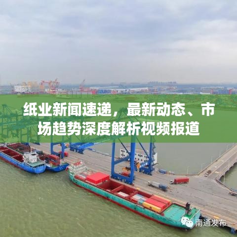 纸业新闻速递，最新动态、市场趋势深度解析视频报道