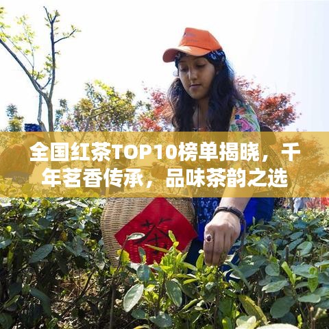 全国红茶TOP10榜单揭晓，千年茗香传承，品味茶韵之选