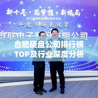 合肥硬盘公司排行榜TOP及行业深度分析