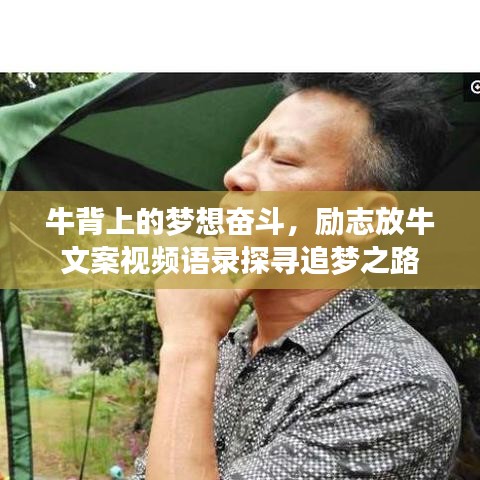 牛背上的梦想奋斗，励志放牛文案视频语录探寻追梦之路