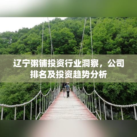 辽宁粥铺投资行业洞察，公司排名及投资趋势分析