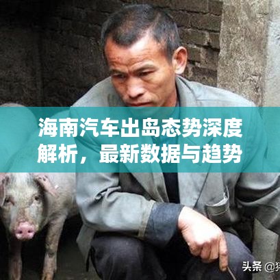海南汽车出岛态势深度解析，最新数据与趋势分析