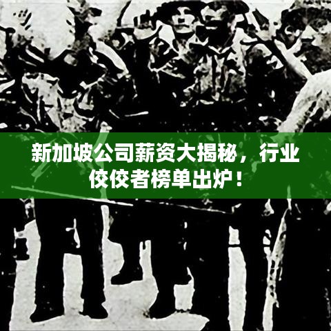 新加坡公司薪资大揭秘，行业佼佼者榜单出炉！