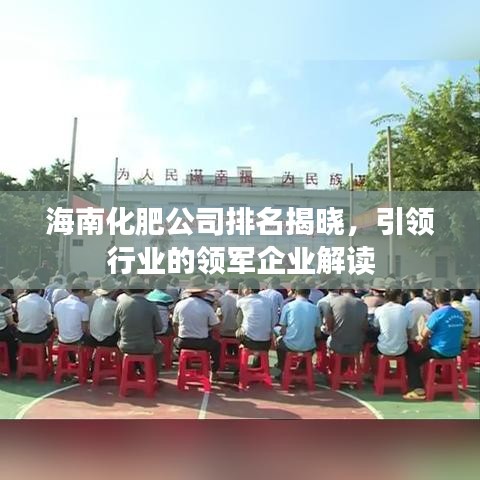 海南化肥公司排名揭晓，引领行业的领军企业解读