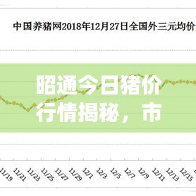 昭通今日猪价行情揭秘，市场走势与影响因素探究