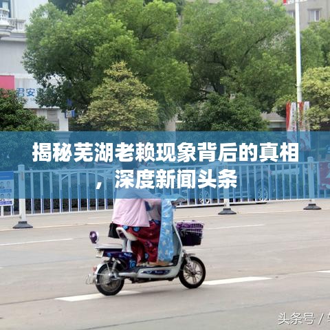 揭秘芜湖老赖现象背后的真相，深度新闻头条
