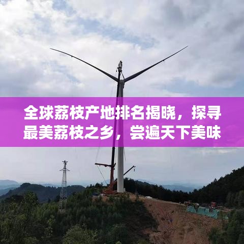 全球荔枝产地排名揭晓，探寻最美荔枝之乡，尝遍天下美味！