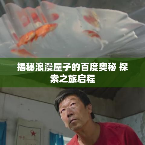 揭秘浪漫屋子的百度奥秘 探索之旅启程