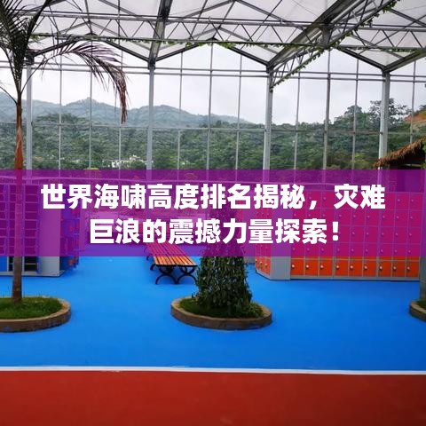 世界海啸高度排名揭秘，灾难巨浪的震撼力量探索！