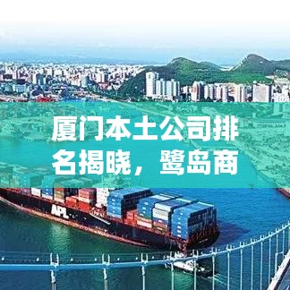 厦门本土公司排名揭晓，鹭岛商业力量的佼佼者探究