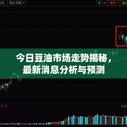 今日豆油市场走势揭秘，最新消息分析与预测