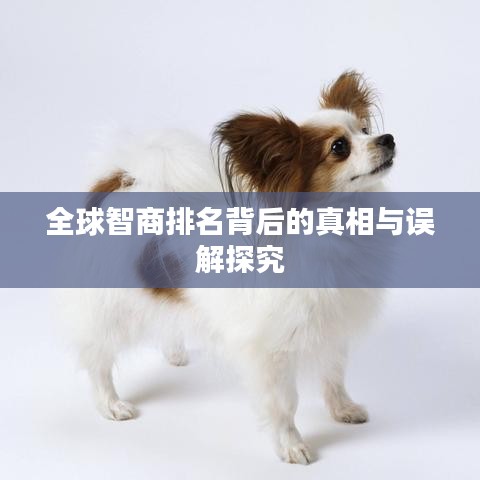 全球智商排名背后的真相与误解探究