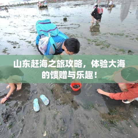 山东赶海之旅攻略，体验大海的馈赠与乐趣！