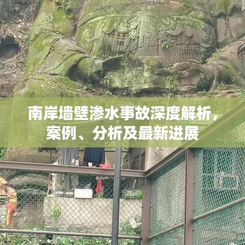 南岸墙壁渗水事故深度解析，案例、分析及最新进展