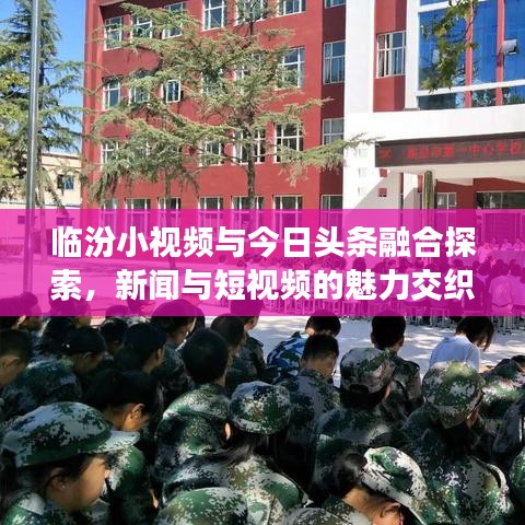 临汾小视频与今日头条融合探索，新闻与短视频的魅力交织