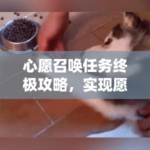 心愿召唤任务终极攻略，实现愿望的详细步骤指南