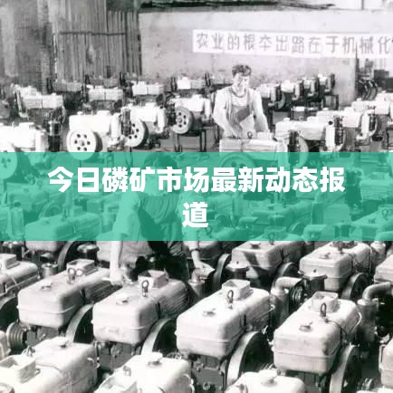 今日磷矿市场最新动态报道