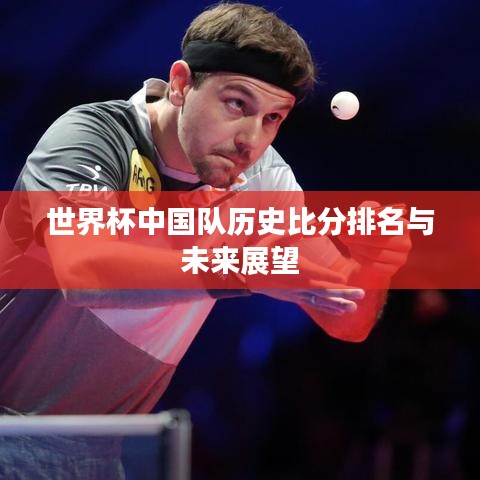 世界杯中国队历史比分排名与未来展望