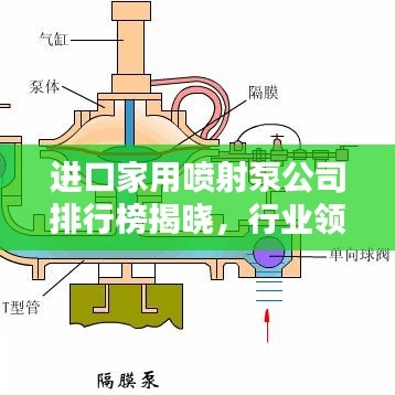 进口家用喷射泵公司排行榜揭晓，行业领先者一览无余